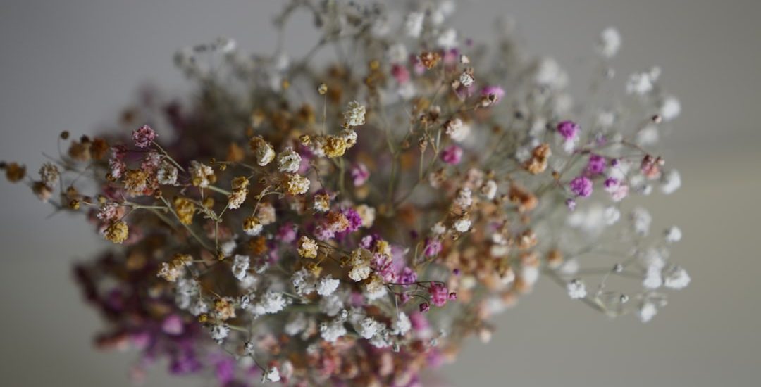 Photo Glass petals