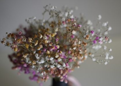 Photo Glass petals